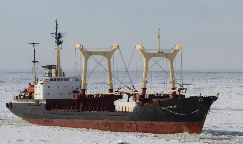 IVAN RYABOV General Cargo IMO 7942348 photo 9