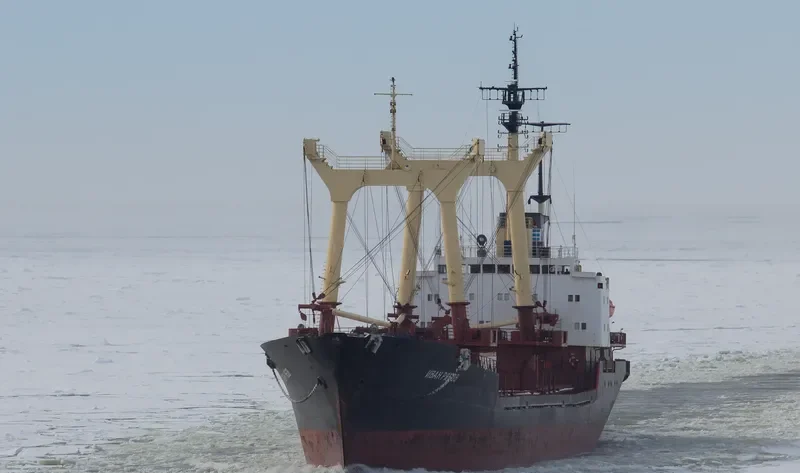 IVAN RYABOV General Cargo IMO 7942348 photo 10