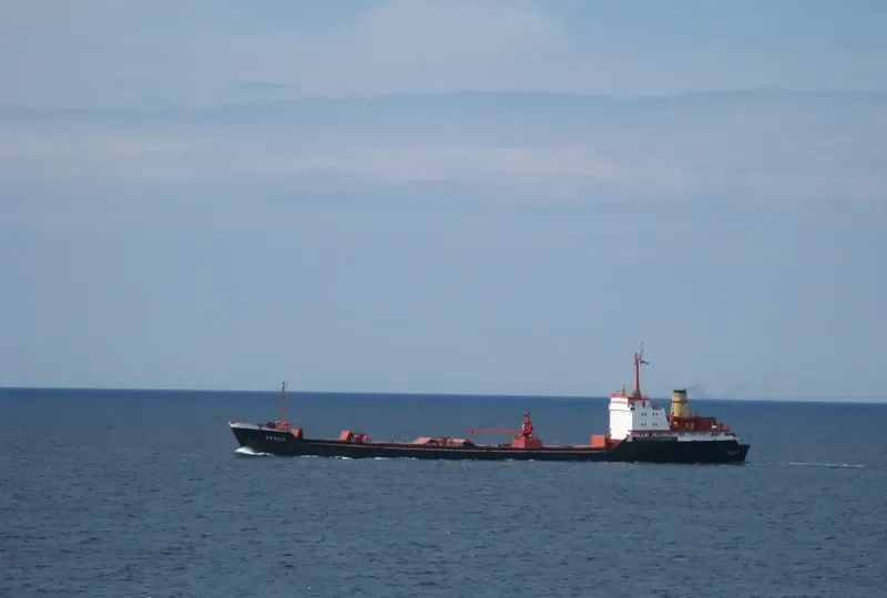 VENUS General Cargo Vessel IMO 7942441 photo 7