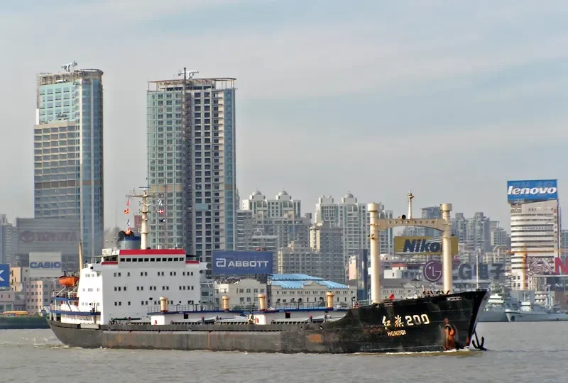 HONG QI 200 Bulk Carrier IMO 7942491
