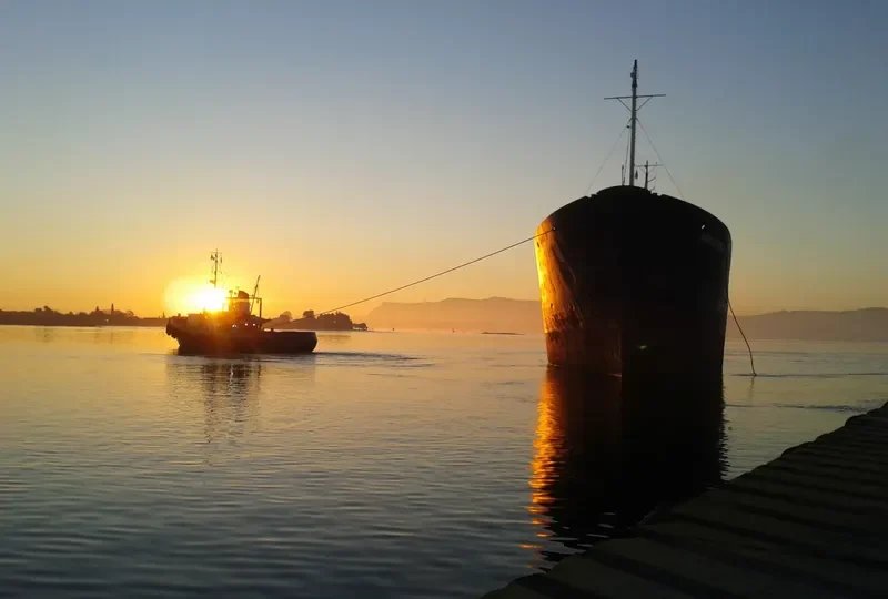 IERAX Tug Boat IMO 7942623 photo 2