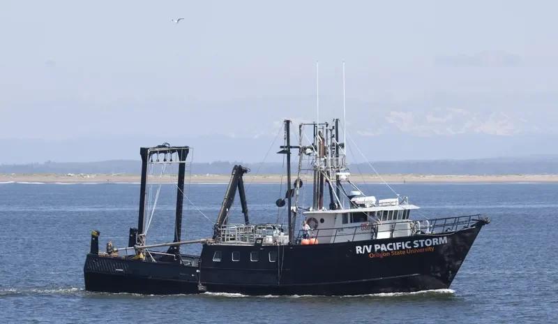 PACIFIC STORM Research Vessel IMO 7942685 photo 4