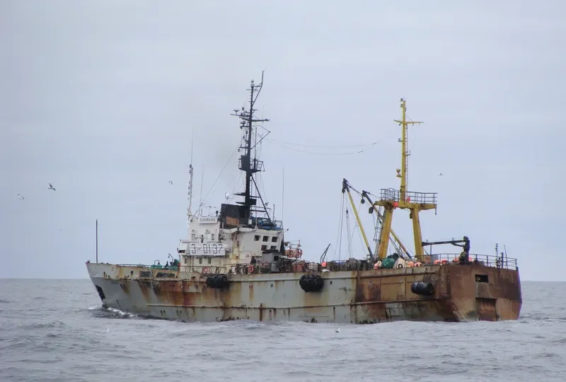 SAKMARA General Cargo IMO 7942934