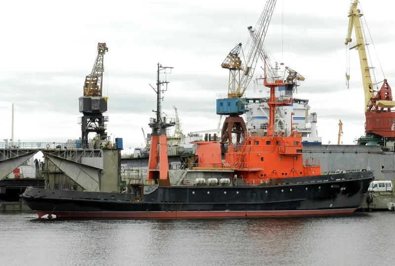 ZEYA General Cargo IMO 7942960