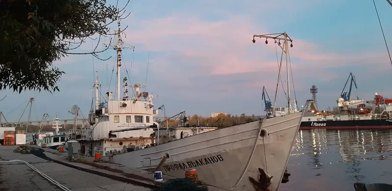 PROFESSOR ALEXANDER VALKANOV Research Vessel IMO 7944243 photo 2
