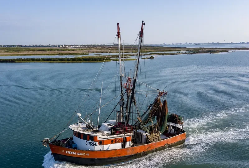 FIESTA CRUZ Fishing Vessel IMO 7944528