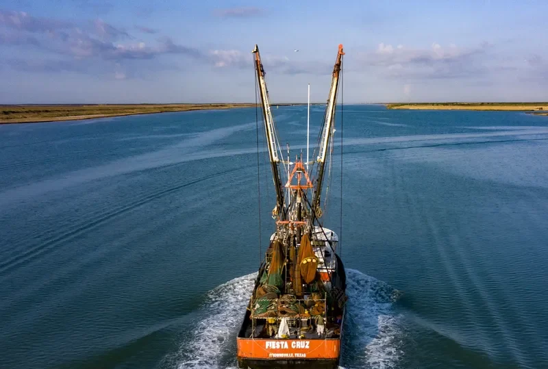FIESTA CRUZ Fishing Vessel IMO 7944528 photo 2