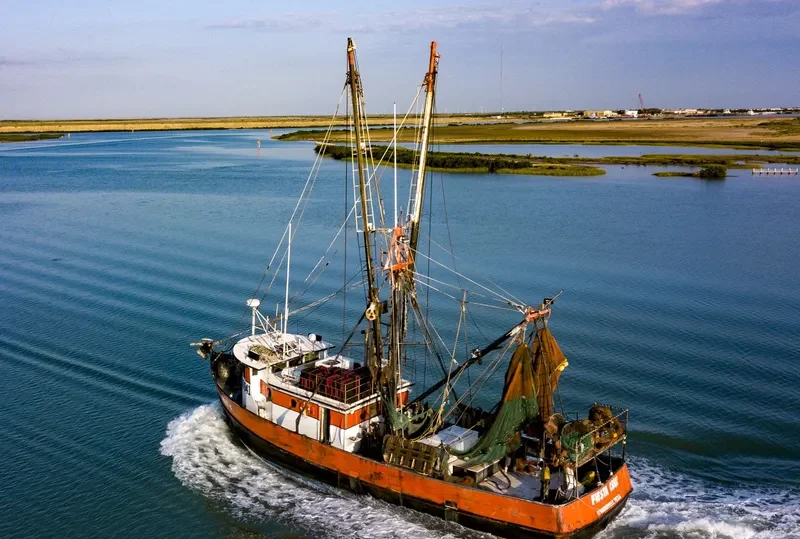 FIESTA CRUZ Fishing Vessel IMO 7944528 photo 3