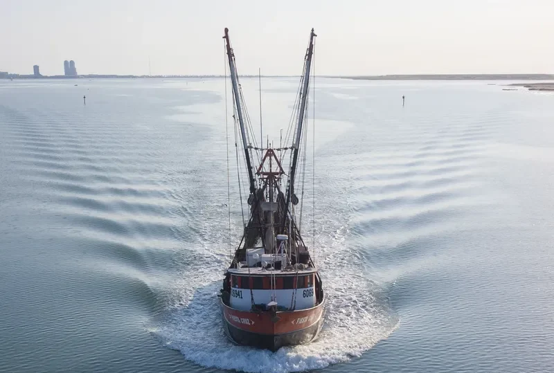 FIESTA CRUZ Fishing Vessel IMO 7944528 photo 5