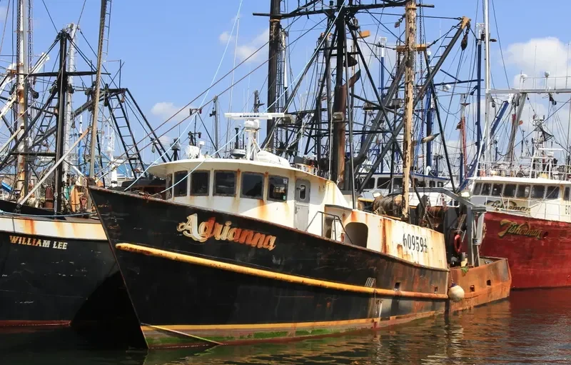 ADRIANNA Fishing Vessel IMO 7944932 photo 2