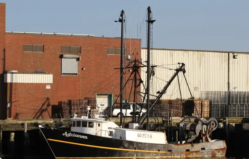 ADRIANNA Fishing Vessel IMO 7944932 photo 3