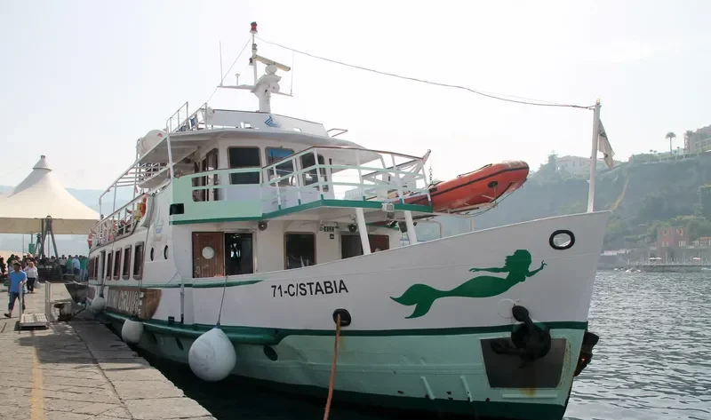 SAN VALENTINO Passenger Ship IMO 7945302 photo 2