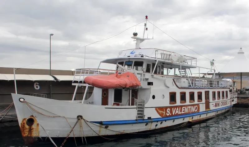SAN VALENTINO Passenger Ship IMO 7945302 photo 3