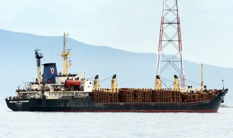 MIKHAIL LUKONIN General Cargo IMO 7945534 photo 4