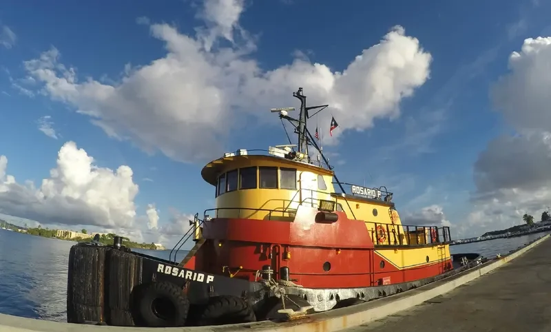 ROSARIO P. Tug Boat IMO 7945613