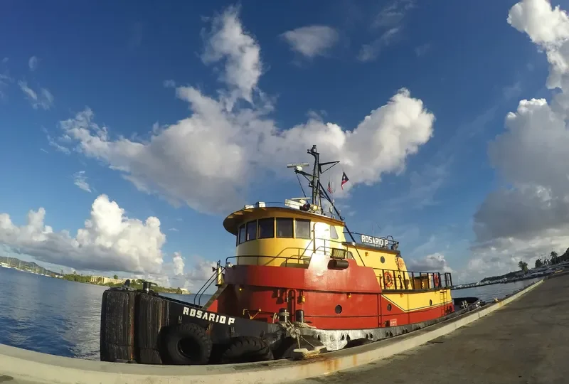 ROSARIO P. Tug Boat IMO 7945613 photo 2