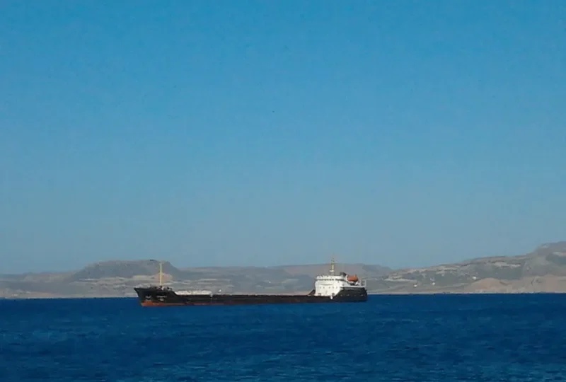VOLODYMYR VOROBYOV General Cargo IMO 7945857 photo 7