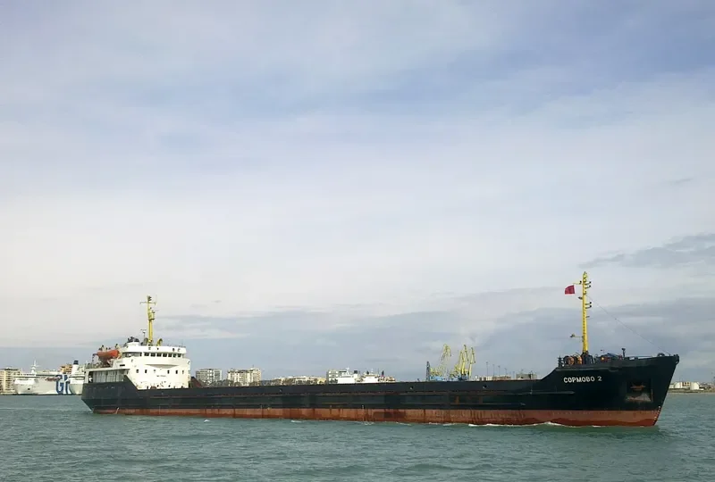 SORMOVO 2 General Cargo IMO 7945869 photo 2