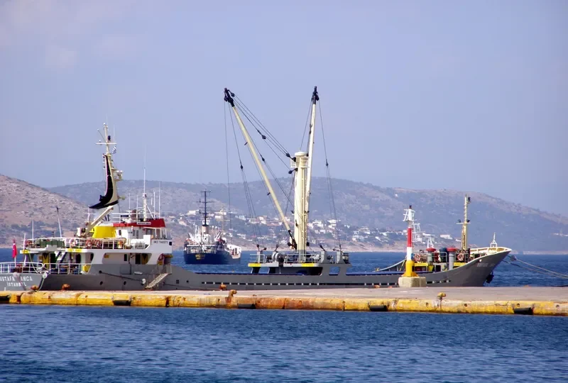 ASSO 6 General Cargo IMO 7946875 photo 10