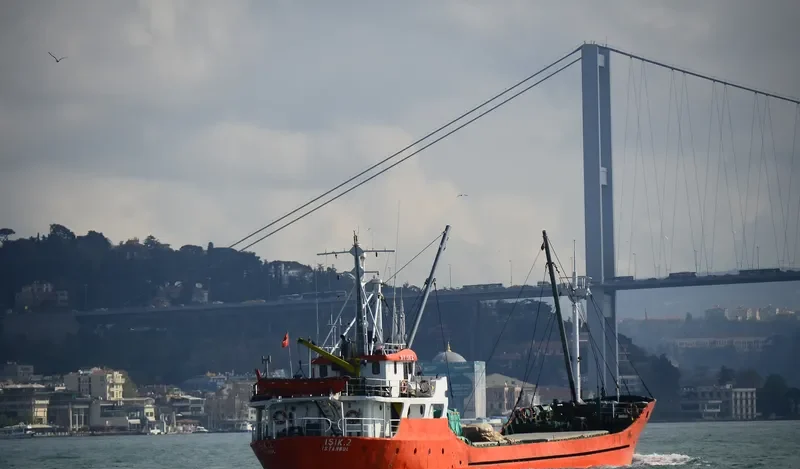 AMARANTHUS General Cargo IMO 7947037 photo 4