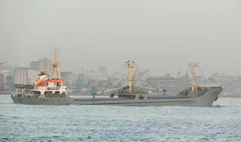 HATICE ANA A General Cargo IMO 7947063 photo 10