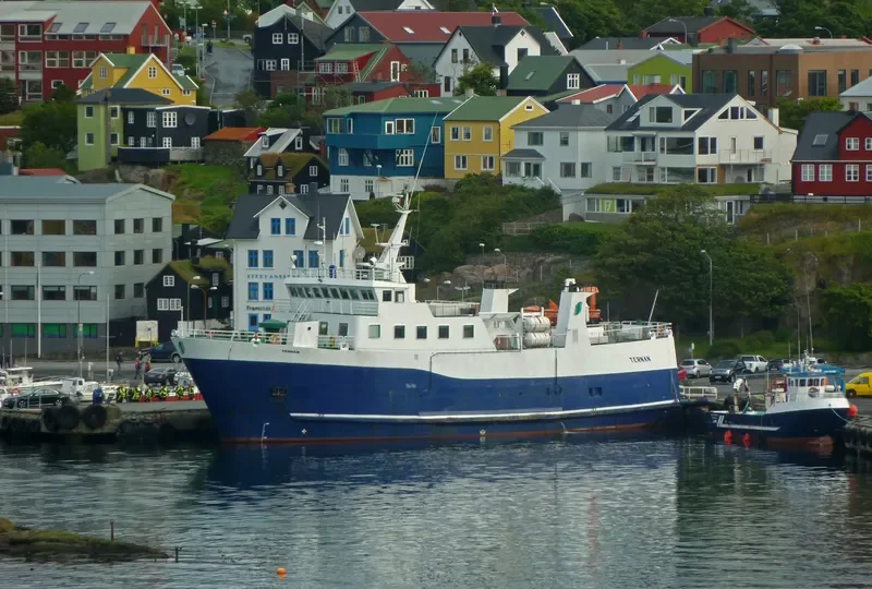 TERNAN Ro-Ro IMO 7947154 photo 2