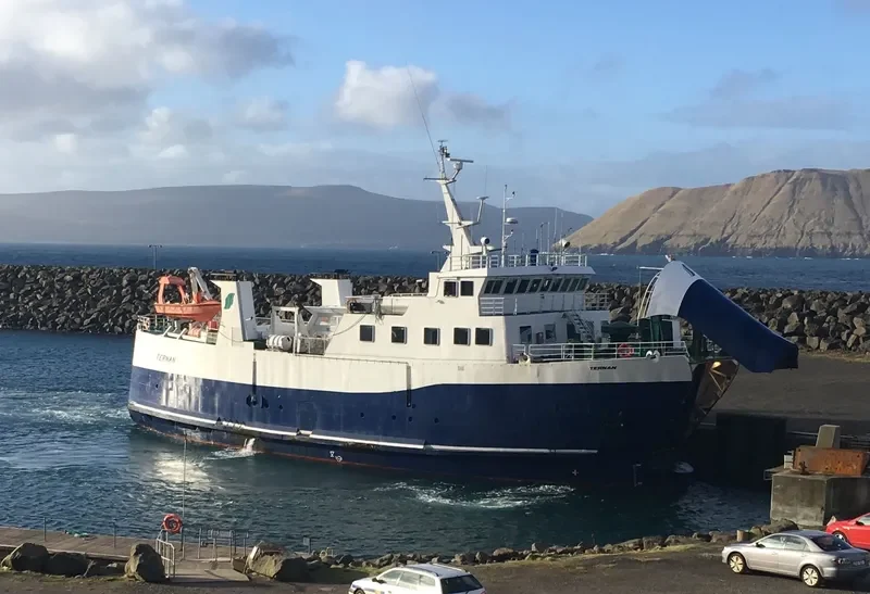 TERNAN Ro-Ro IMO 7947154 photo 3