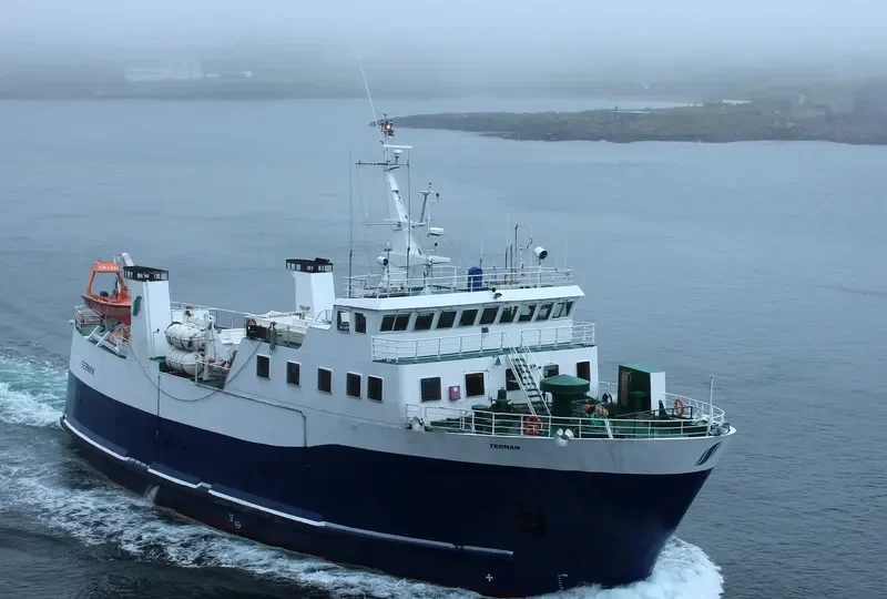 TERNAN Ro-Ro IMO 7947154 photo 7