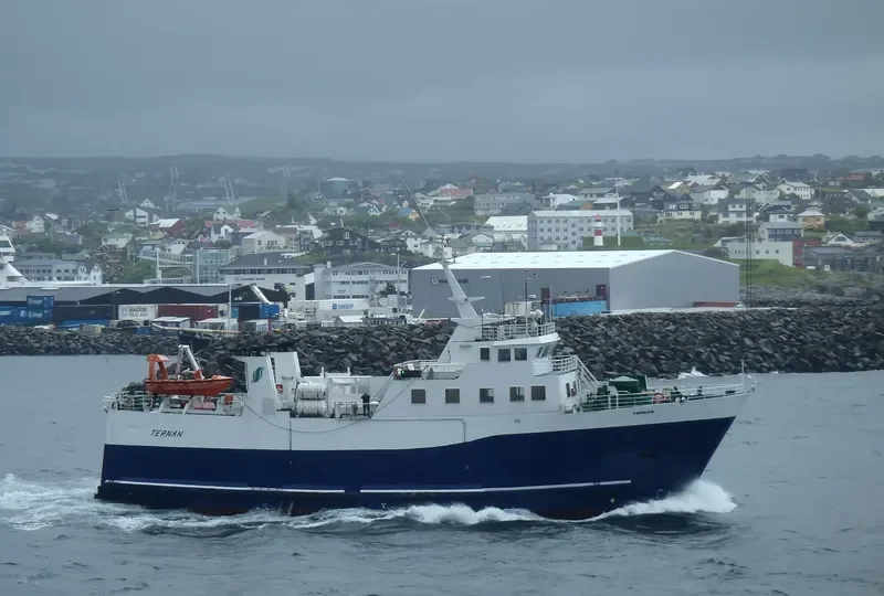 TERNAN Ro-Ro IMO 7947154 photo 9