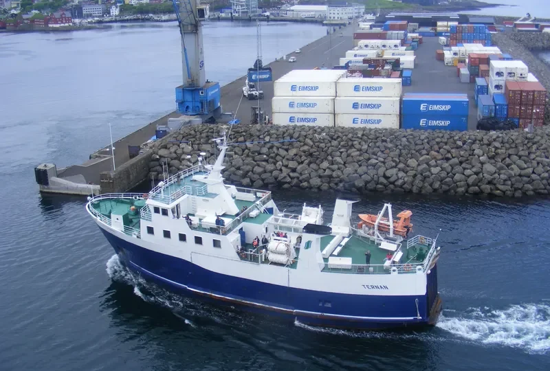 TERNAN Ro-Ro IMO 7947154 photo 10