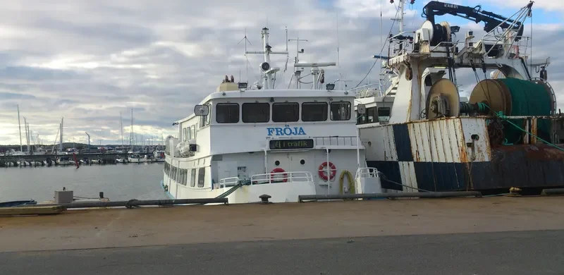 FROJA Passenger Ship IMO 7947178 photo 5