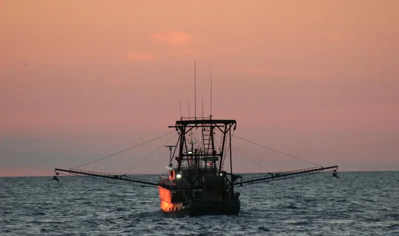 LADY GERTRUDE Fishing Vessel IMO 7947233
