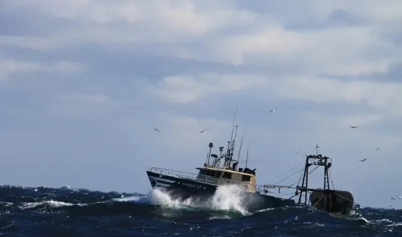 SAMMYJO General Cargo IMO 7947611 photo 2
