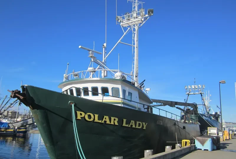 POLAR LADY General Cargo IMO 7947659 photo 5