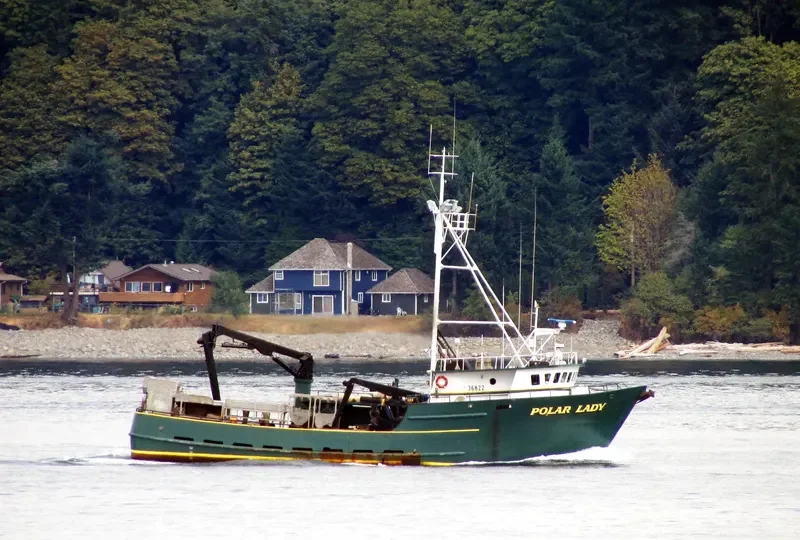 POLAR LADY General Cargo IMO 7947659 photo 9
