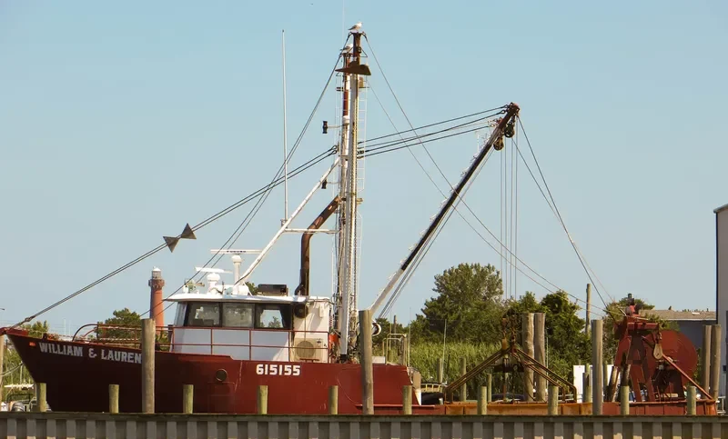 WILLIAM & LAUREN Fishing Vessel IMO 7948433 photo 2