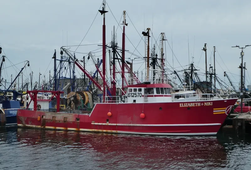 ELIZABETH & NIKI General Cargo IMO 7948562