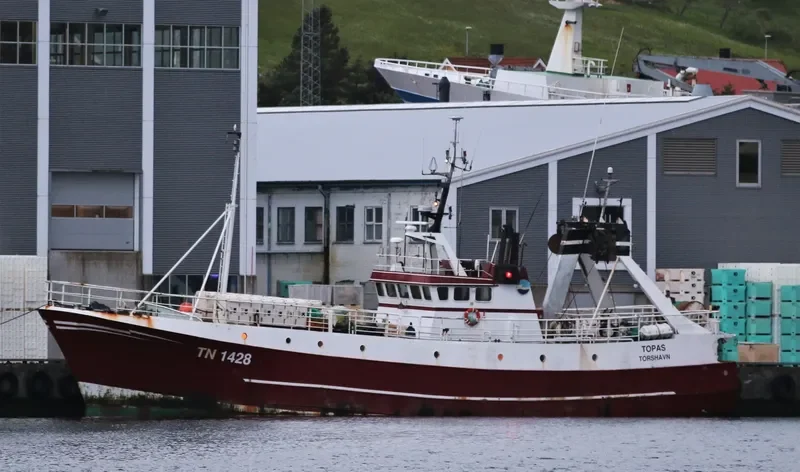 TOPAS General Cargo IMO 8000135