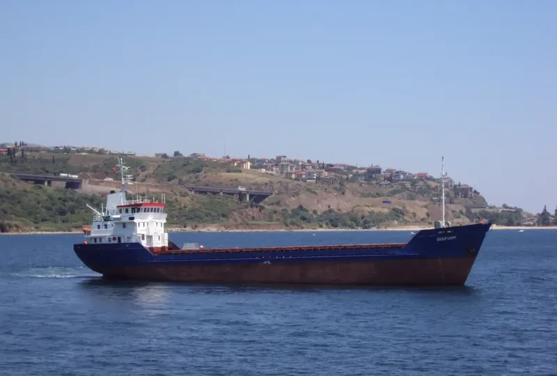NATASHA General Cargo IMO 8000197 photo 2