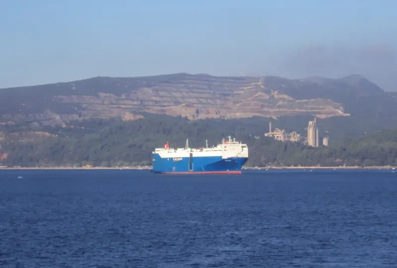 GRUS General Cargo IMO 8000458 photo 2