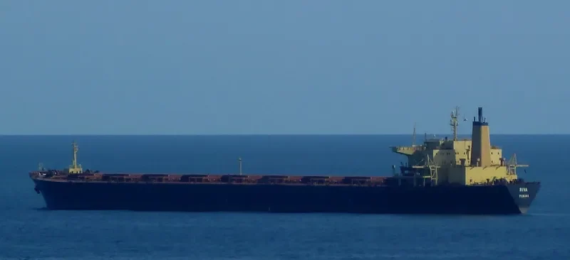 RIVA Bulk Carrier IMO 8000525