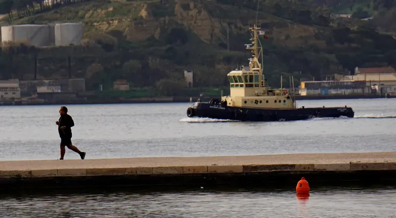 SVITZER LEIXOES Tug Boat IMO 8000848 photo 7