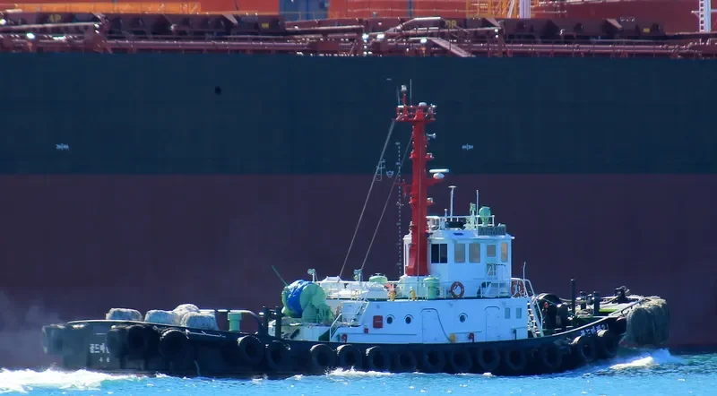 GOLD MARINE 21 Tug Boat IMO 8001531 photo 3