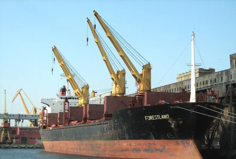 ALINA General Cargo IMO 8001543 photo 2