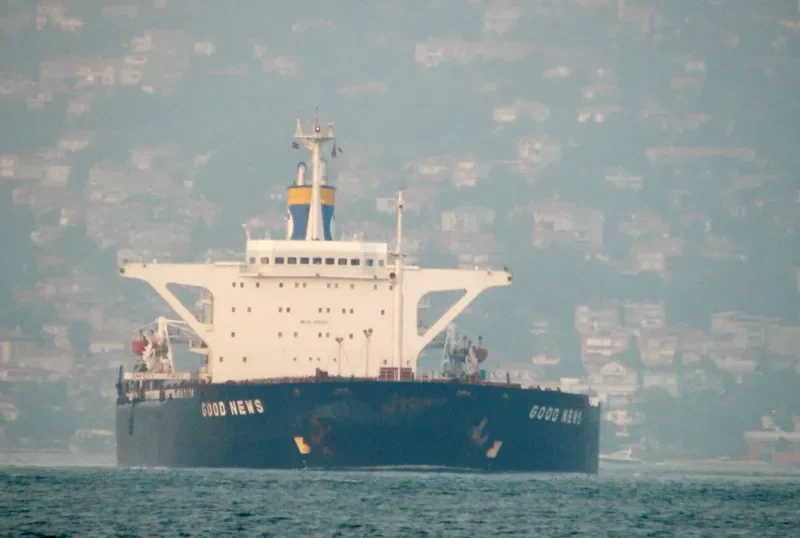 GOOD NEWS Bulk Carrier IMO 8001787