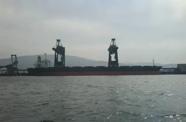 GOOD NEWS Bulk Carrier IMO 8001787 photo 2