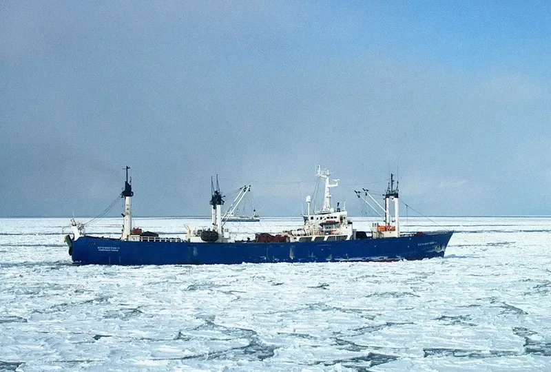 YUGO VOSTOCK 1 General Cargo IMO 8001969