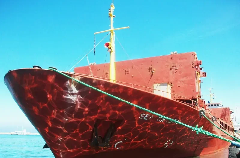 SEA CRYSTAL General Cargo IMO 8002638