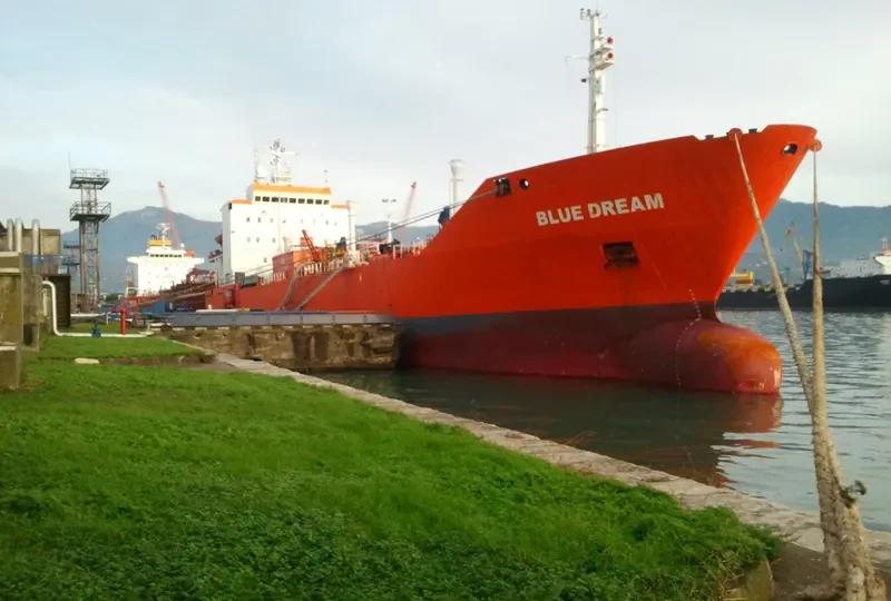 BLUE DREAM General Cargo IMO 8002664 photo 9