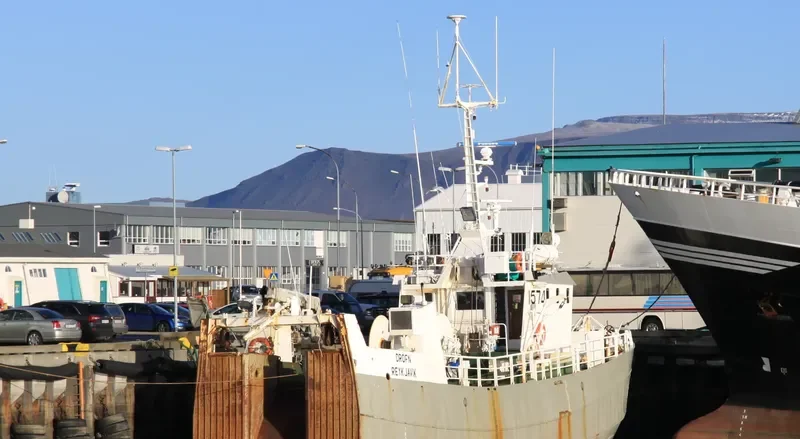 DROFN General Cargo IMO 8002755 photo 7